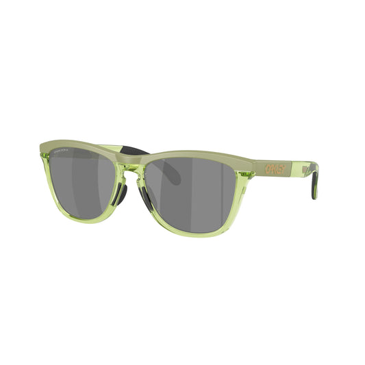Occhiali da sole Oakley Frogskins Range XL OO9503 950307 Matte Fern Clear Fern -laterale