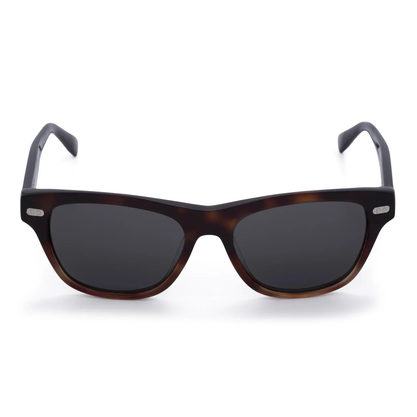 Occhiale da sole Brunello Cucinelli BC3005S 1025 B1 Havana Tabacco