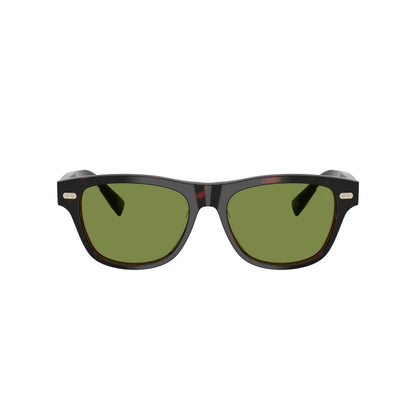 Occhiali da sole Brunello Cucinelli BC3005S Havana Mogano