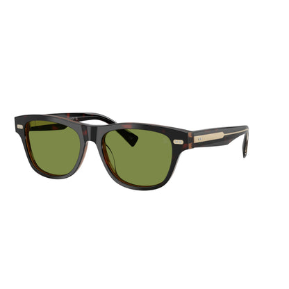 Occhiali da sole Brunello Cucinelli BC3005S Havana Mogano