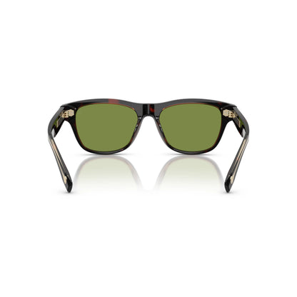 Occhiali da sole Brunello Cucinelli BC3005S Havana Mogano