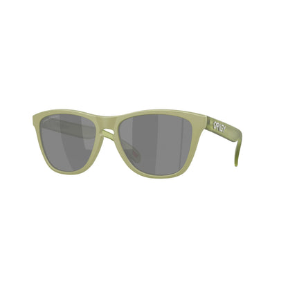Occhiali da sole Oakley Frogskins OO9013 9013M2 Matt fern polarizzati rettangolare