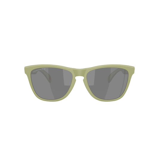 Occhiali da sole Oakley Frogskins OO9013 9013M2 Matt fern polarizzati rettangolare
