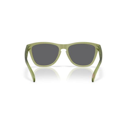 Occhiali da sole Oakley Frogskins OO9013 9013M2 Matt fern polarizzati rettangolare