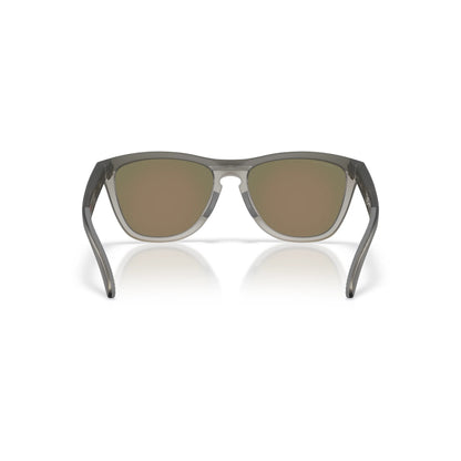 Occhiali da sole Oakley Frogskins Range XL OO9503 950301 Grigio fumo opaco/Inchiostro grigio -dettagli3