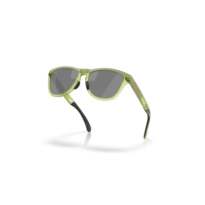 Occhiali da sole Oakley Frogskins Range XL OO9503 950307 Matte Fern Clear Fern -dettagli