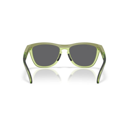 Occhiali da sole Oakley Frogskins Range XL OO9503 950307 Matte Fern Clear Fern -dettagli3