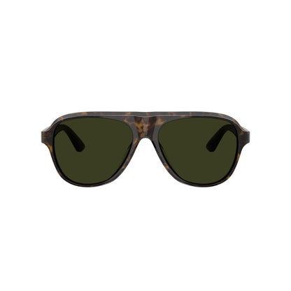 Occhiali da sole Oliver Peoples OV5581SU 1747P1 Paul Newman Noce tartarugato