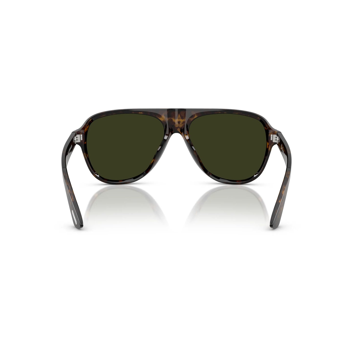 Occhiali da sole Oliver Peoples OV5581SU 1747P1 Paul Newman Noce tartarugato -dettagli1
