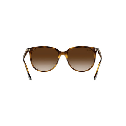 Occhiali da sole Ray-Ban RB4378 710/13 Havana rotondo