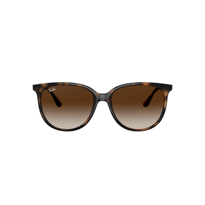 Occhiali da sole Ray-Ban RB4378 710/13 Havana rotondo