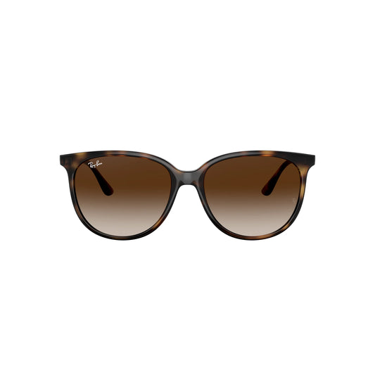 Occhiali da sole Ray-Ban RB4378 710/13 Havana rotondo