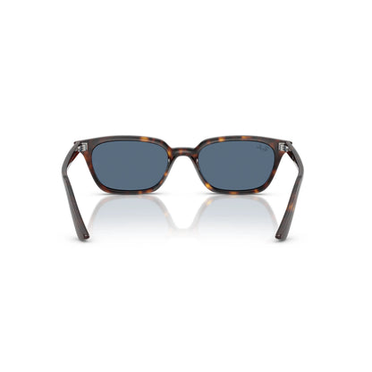 Occhiali da sole Ray-Ban RB4456 135980 Havana Blue rettangolari -dettagli1