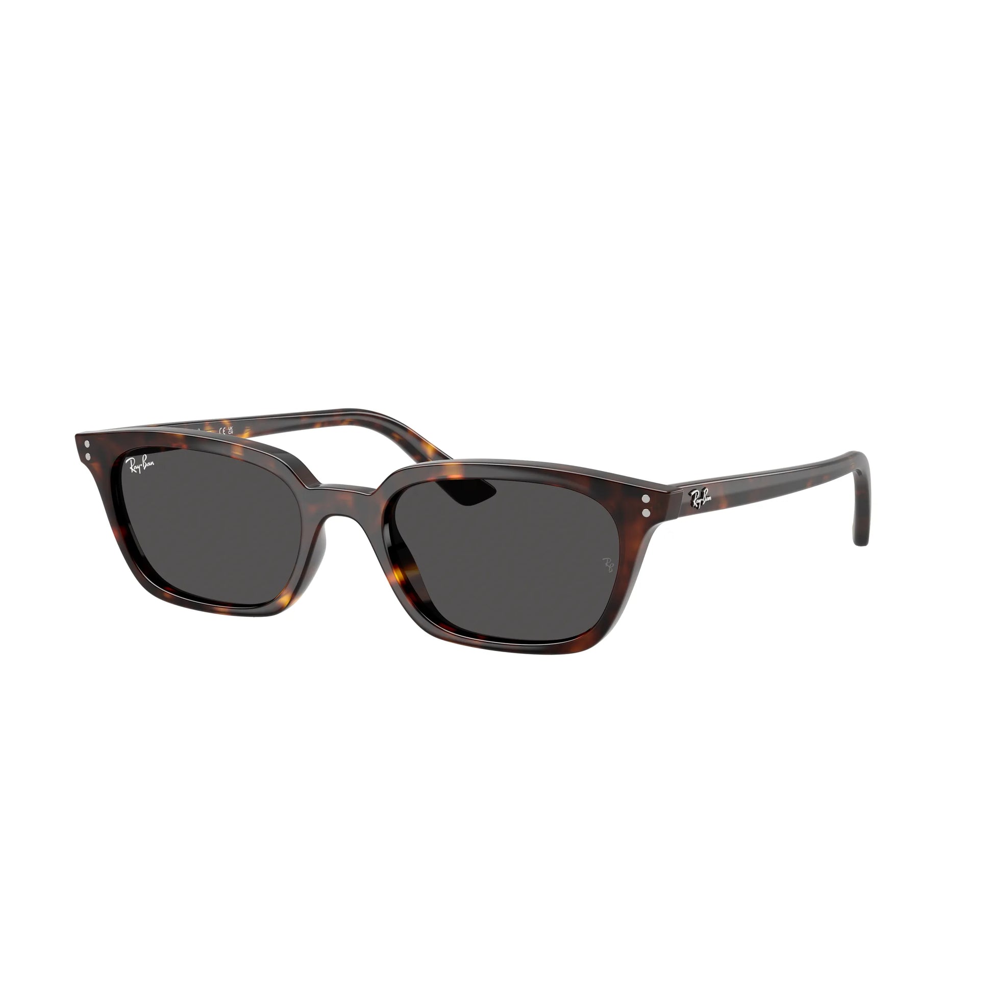 Occhiali da sole Ray-Ban RB4456 1359/87 Havana farfalla -laterale