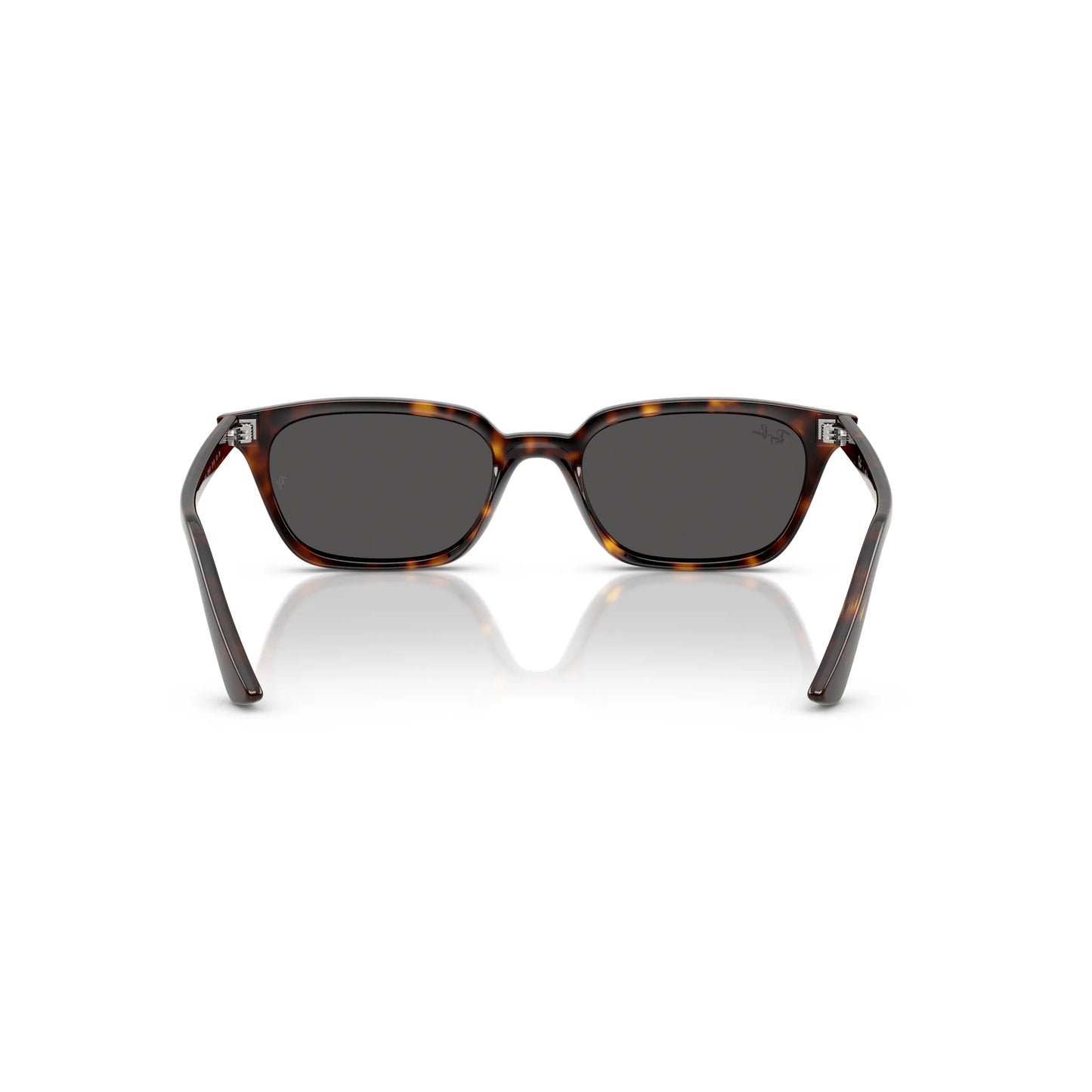 Occhiali da sole Ray-Ban RB4456 1359/87 Havana farfalla -dettagli1
