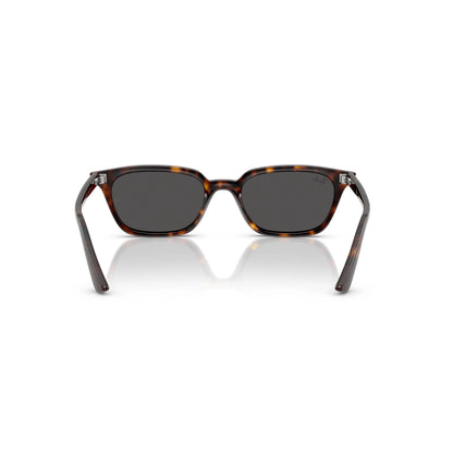 Occhiali da sole Ray-Ban RB4456 1359/87 Havana farfalla -dettagli1