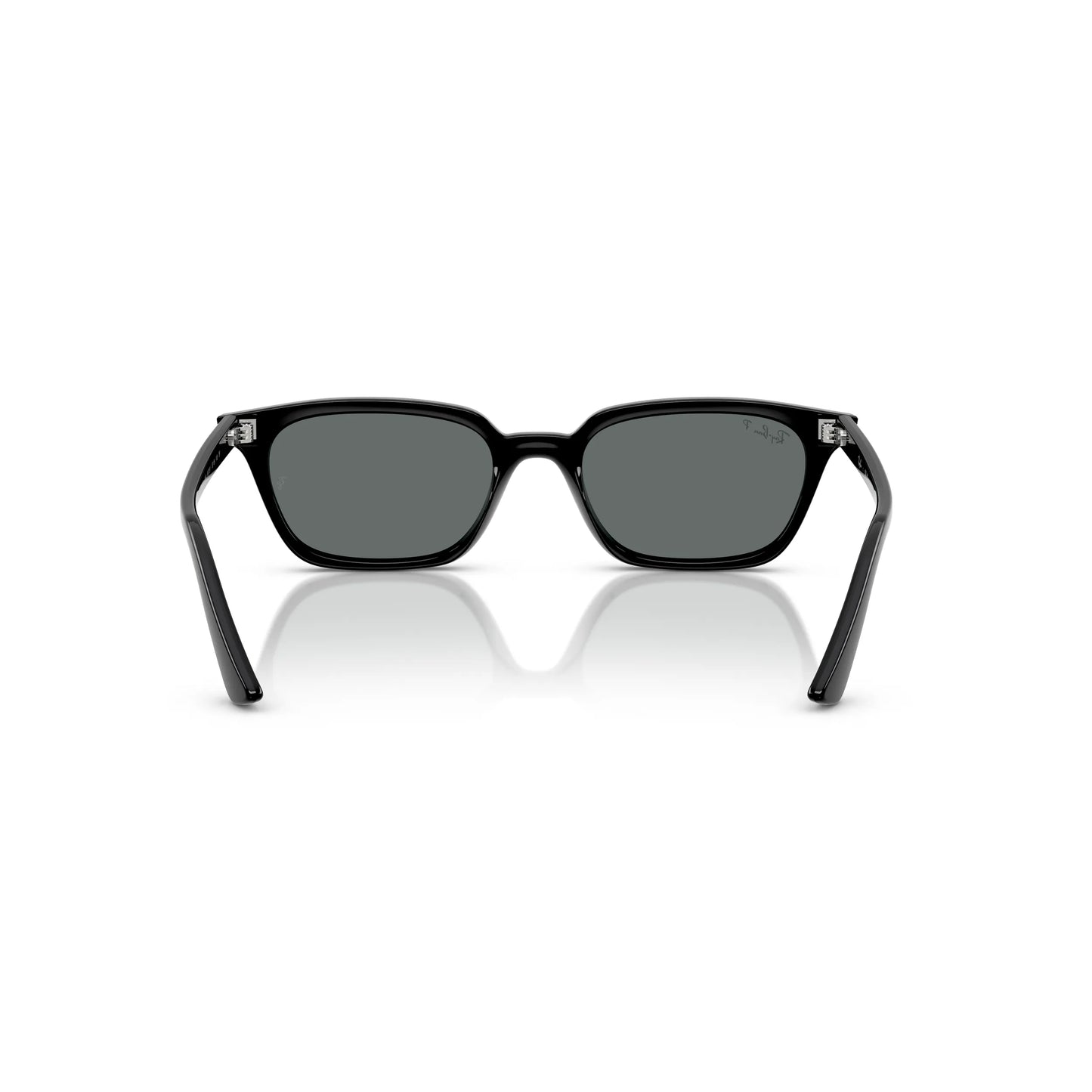 Occhiali da sole Ray-Ban RB4456 6677/81 Black Polarized farfalla -dettagli1