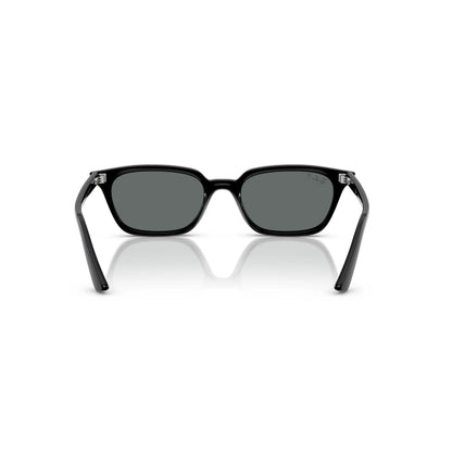 Occhiali da sole Ray-Ban RB4456 6677/81 Black Polarized farfalla -dettagli1