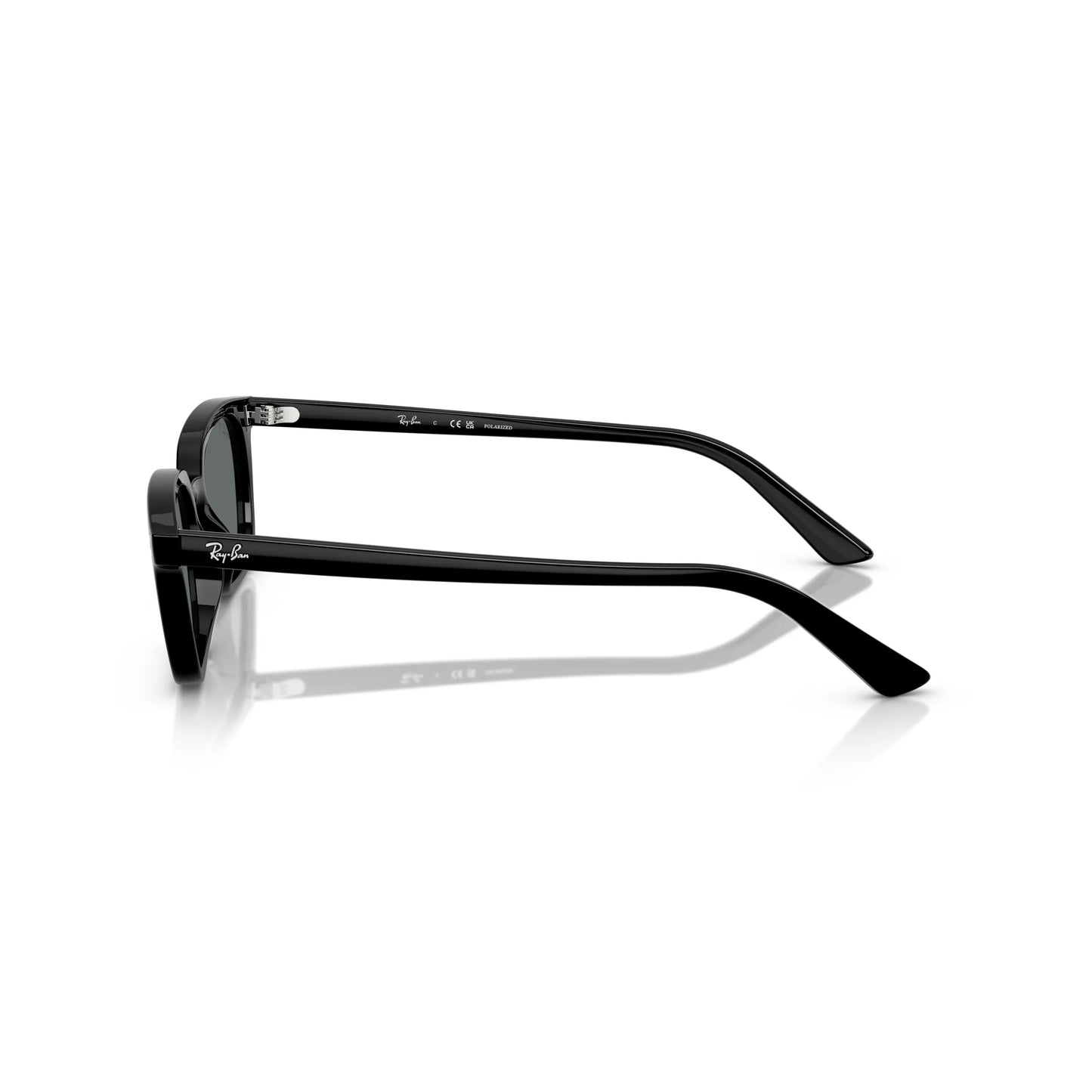 Occhiali da sole Ray-Ban RB4456 6677/81 Black Polarized farfalla -dettagli