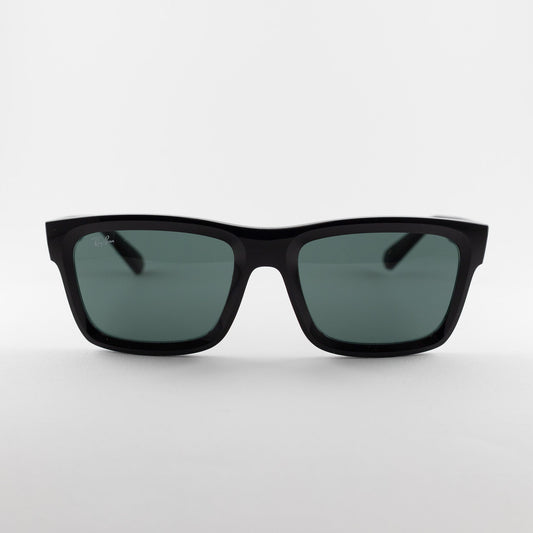 Occhiale da sole Ray-Ban Warren RB4396 6677/71 Black